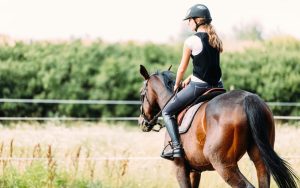 Read more about the article Opgrader din ridetøjsgarderobe med Mustang Sportswear