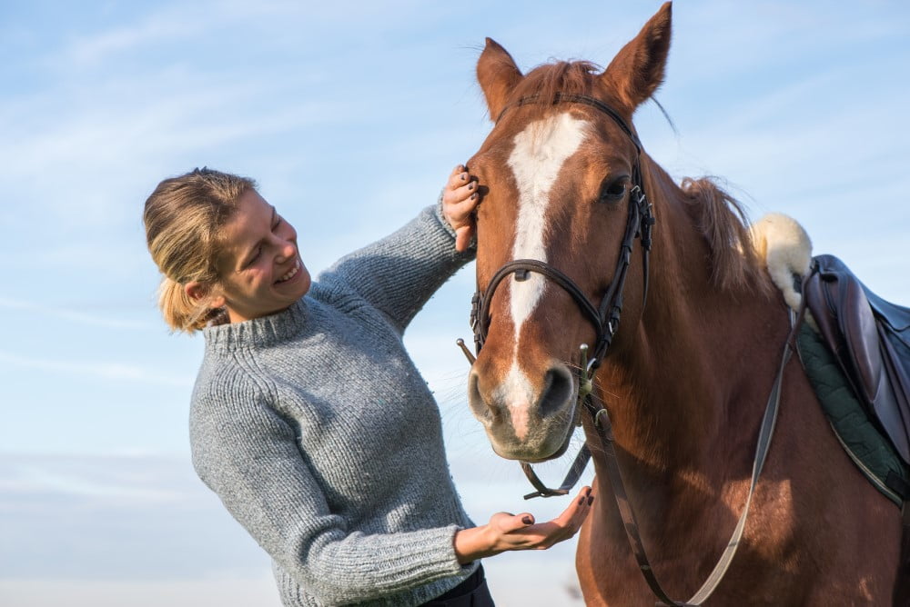 Read more about the article Guide: Sådan sikrer du en sund og rask hest